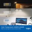 TP-LINK WiFi Bulb Tapo L535E Multicolor E27