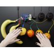 Adafruit Capacitive Touch HAT for Raspberry Pi - Mini Kit - MPR121