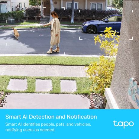 TP-LINK Tapo C420