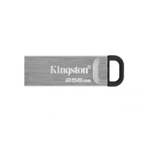 KINGSTON USB Stick Data Traveler DTKN/256GB,USB 3.2, Silver
