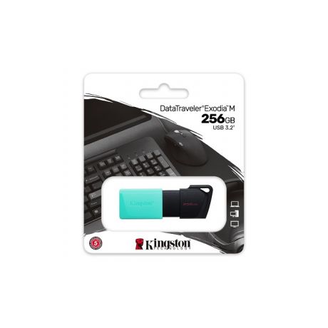KINGSTON USB Stick DataTraveler Exodia M DTXM/256GB, USB 3.2, Cyan