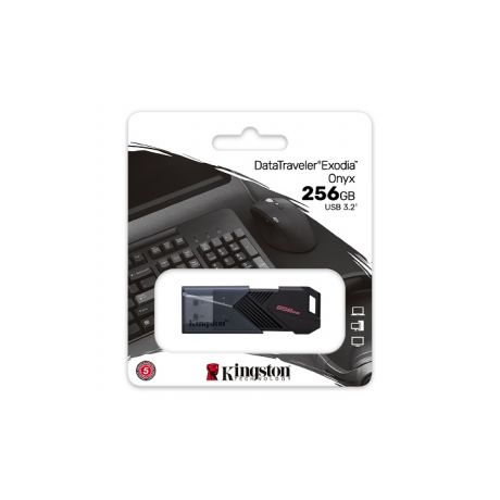 KINGSTON USB Stick DataTraveler Exodia Onyx  DTXON/256GB, USB 3.2, Black