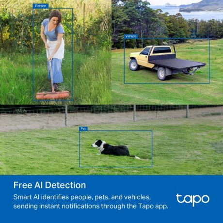 TP-LINK 4G Camera Tapo C501GW FHD Pan/Tilt Outdoor