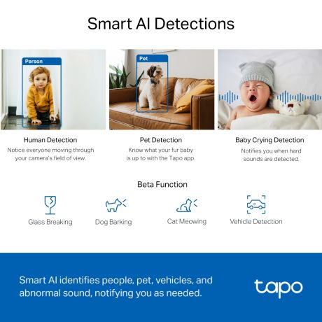 TP-LINK WiFi Camera Tapo C220 Pan Tilt WiFi Camera