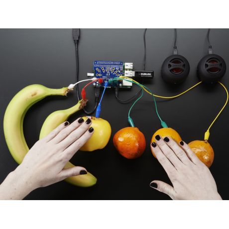 Adafruit Capacitive Touch HAT for Raspberry Pi - Mini Kit - MPR121